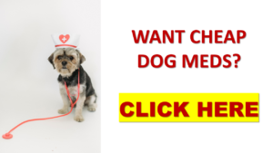 want cheap dog meds